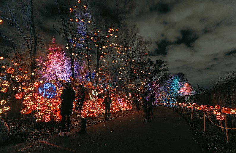 Jack-O-Lantern Spectacular returns to Minnesota Zoo
