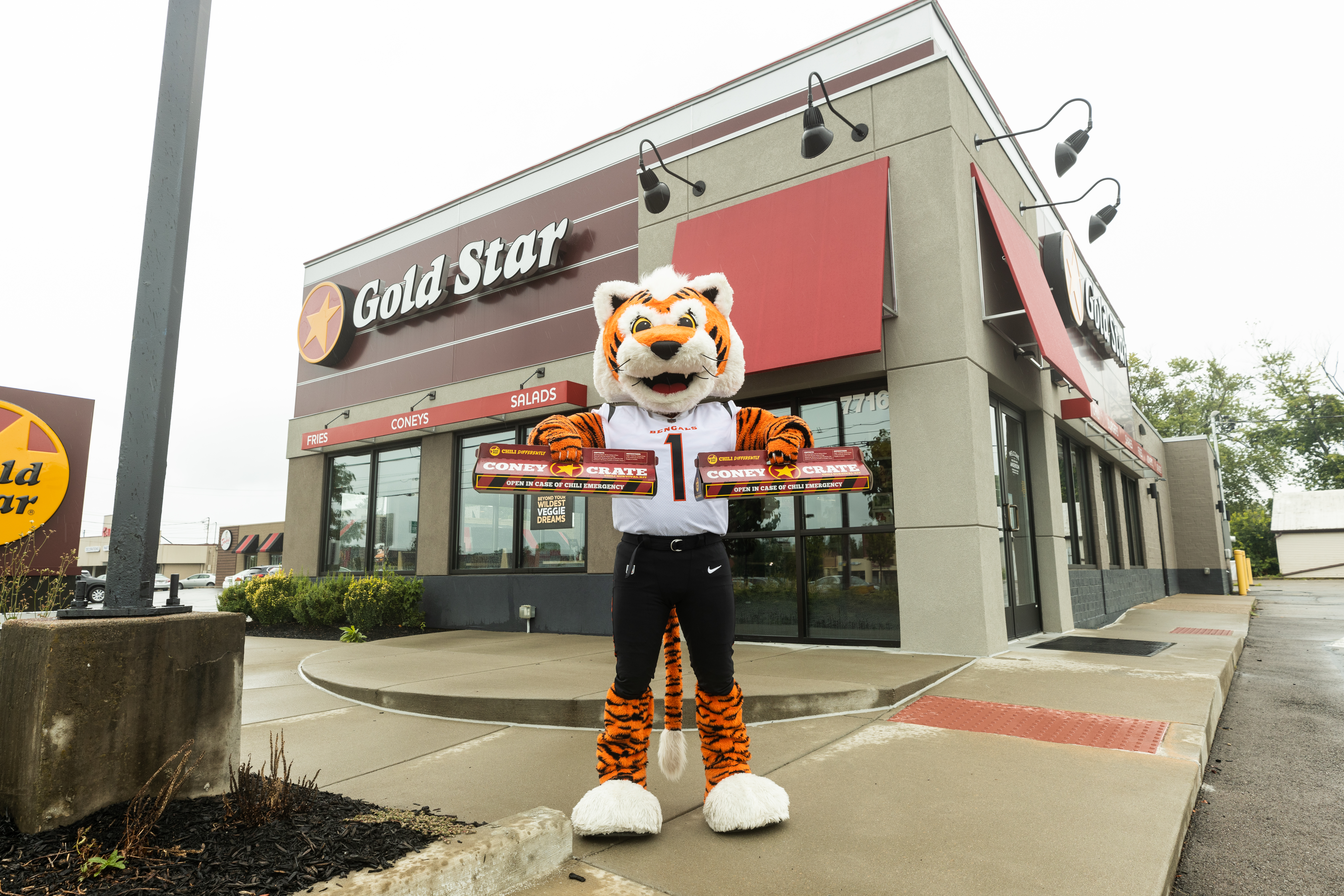 Gold Star Chili - Want FREE tickets to the Bengals vs. Packers