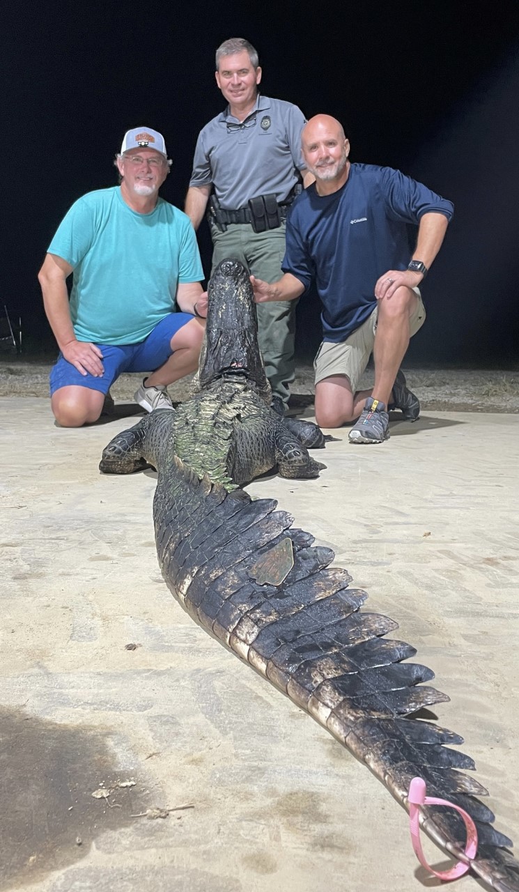 A 10-foot alligator has broken the Mississippi record. It could be 100  years old.