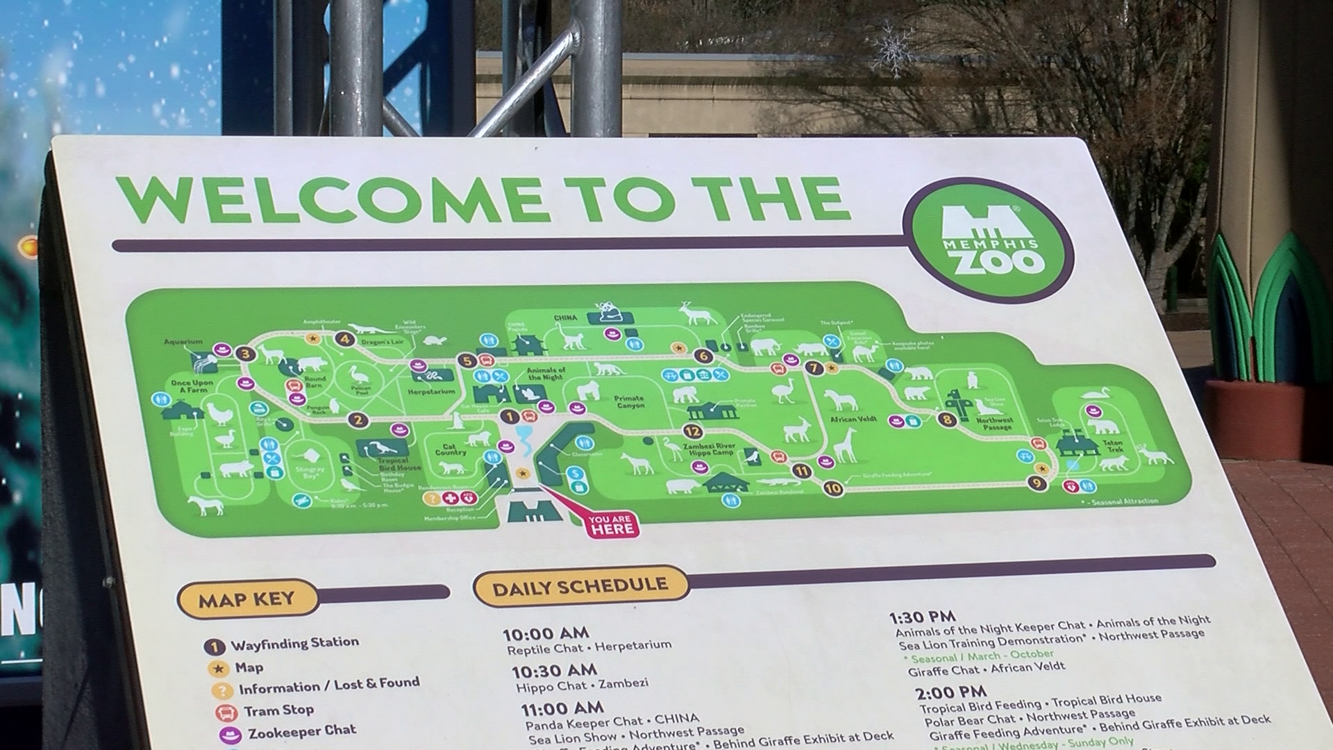 Memphis Zoo temporarily closing due to coronavirus concerns