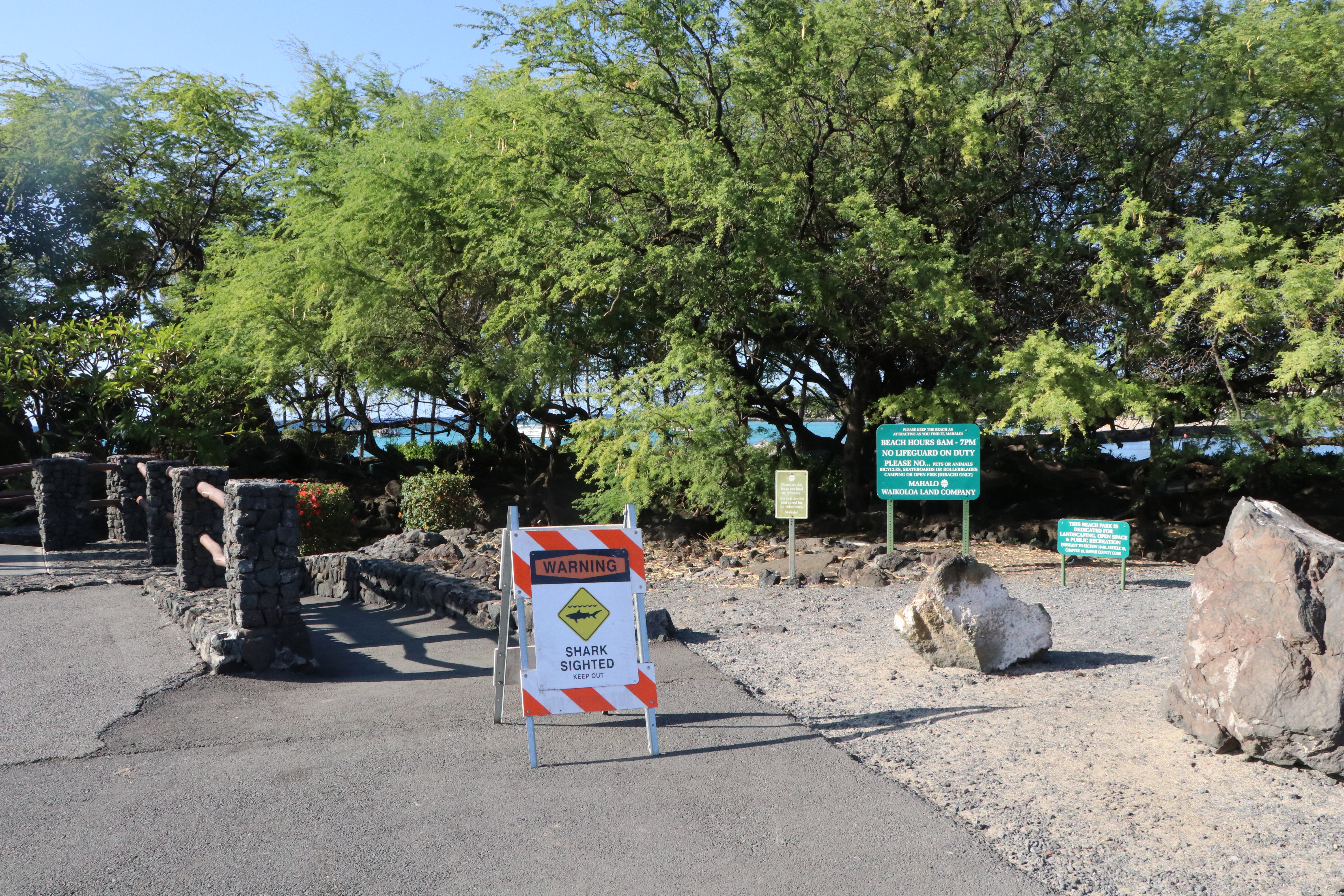 Swimmer hospitalized following 'brutal' shark bite off Hawaii Island