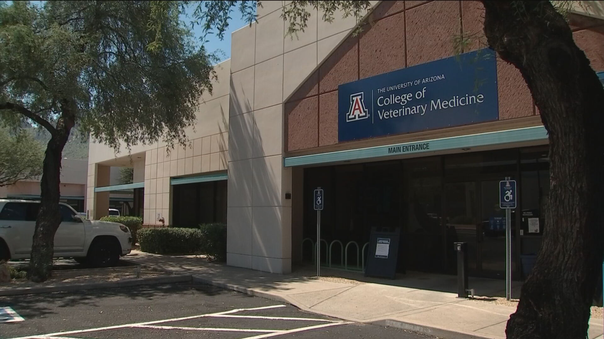 University of Arizona's new veterinary school to graduate first class