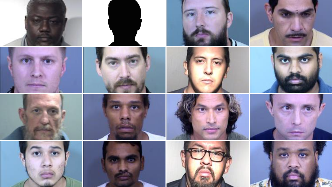 Undercover operation leads to 16 arrests for child sex crimes across Phoenix, other Valley cities
