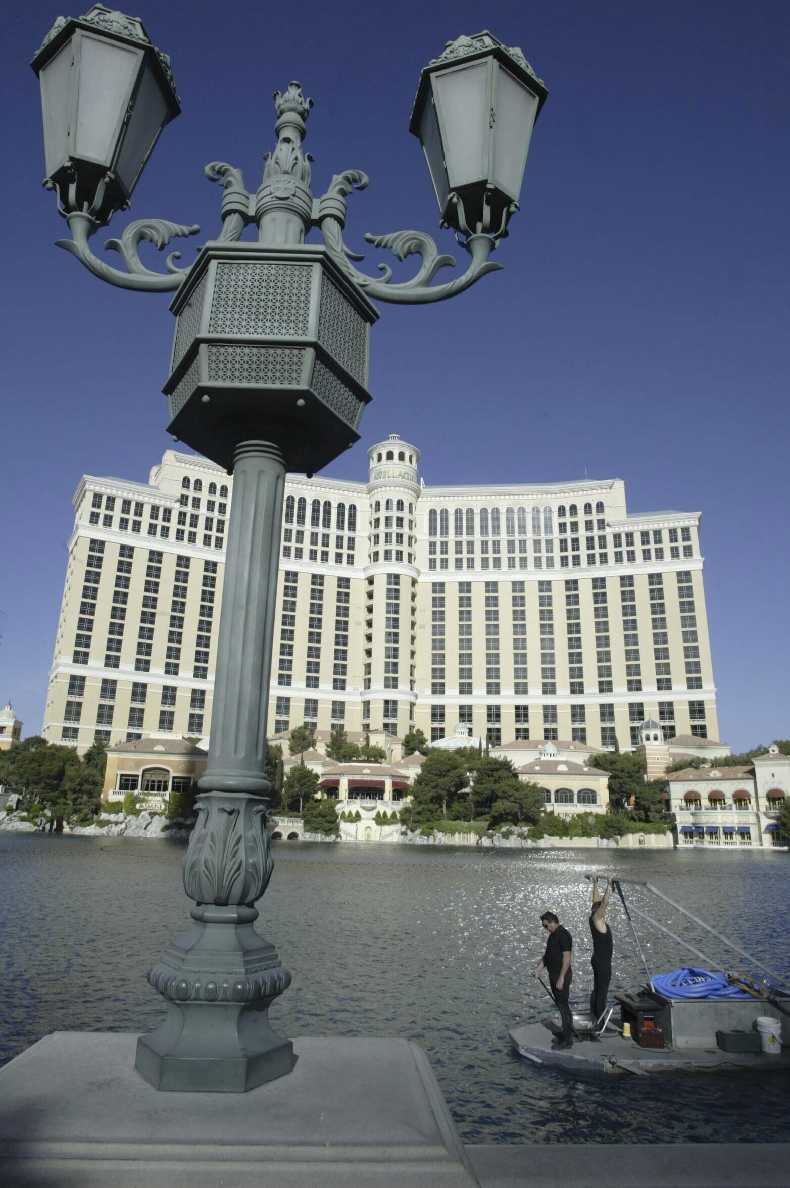 Rare bird causes Bellagio fountains to stop on Las Vegas Strip