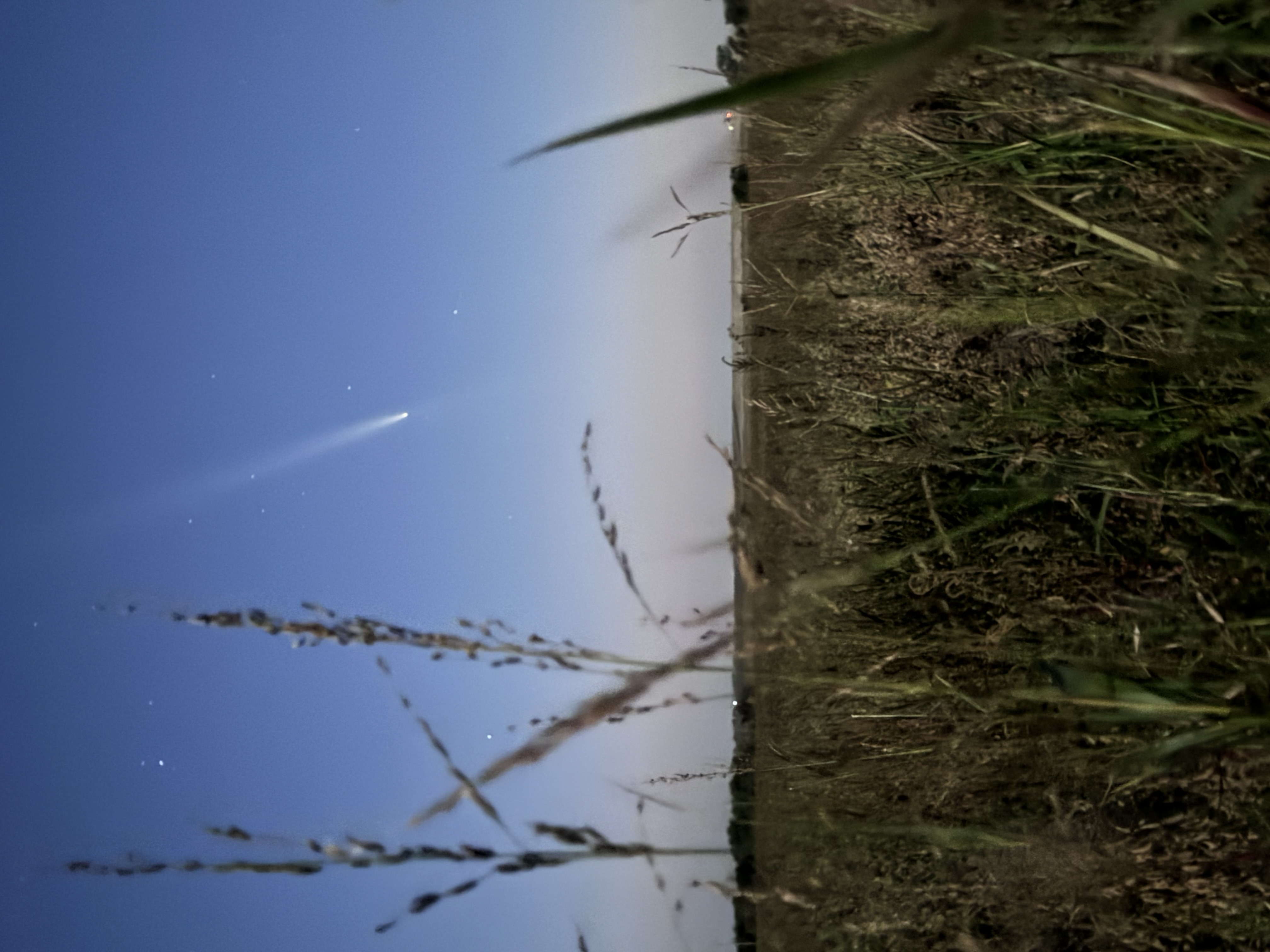 Rare comet brightens night October skies