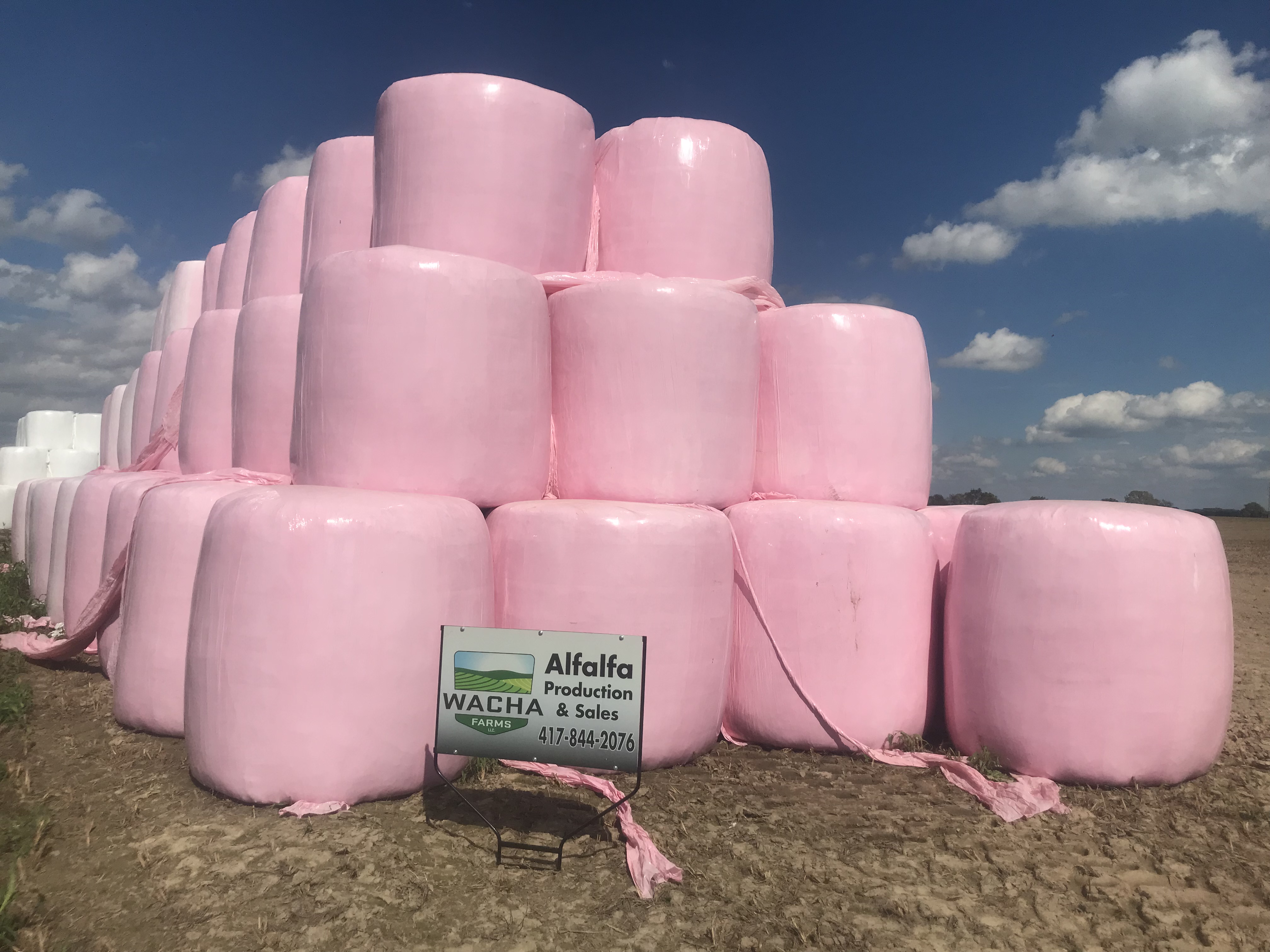 Pink Hay Bales For A Good Cause