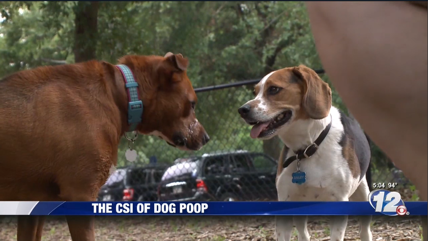 Apartment owners utilize DNA tests to identify dog poop