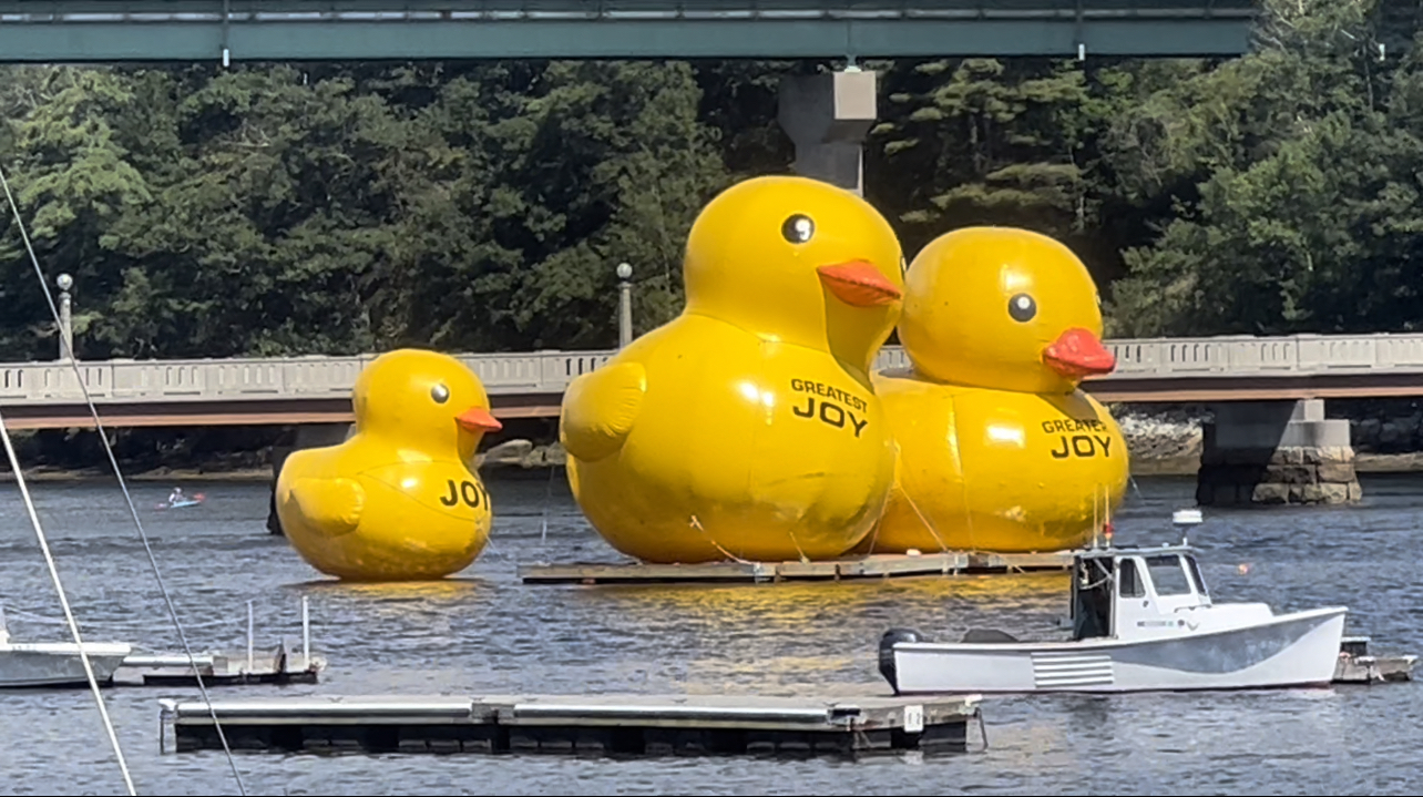 Giant inflatable ducks return to Belfast Harbor
