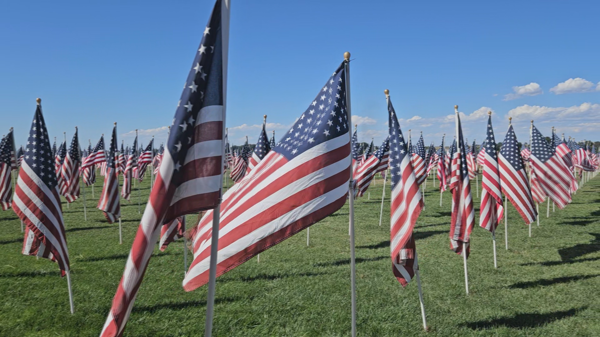 American flags line Hendersonville's Main Street in honor of veterans