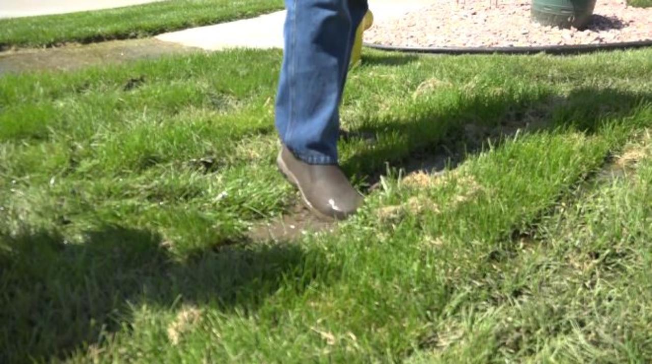 Neighbor S Sump Pump Leaves Family With Marshy Mess