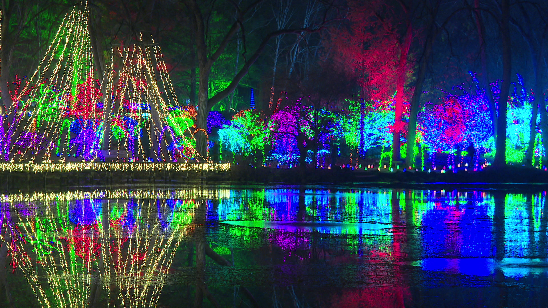 Rotary Botanical Gardens holiday light show illuminates Janesville