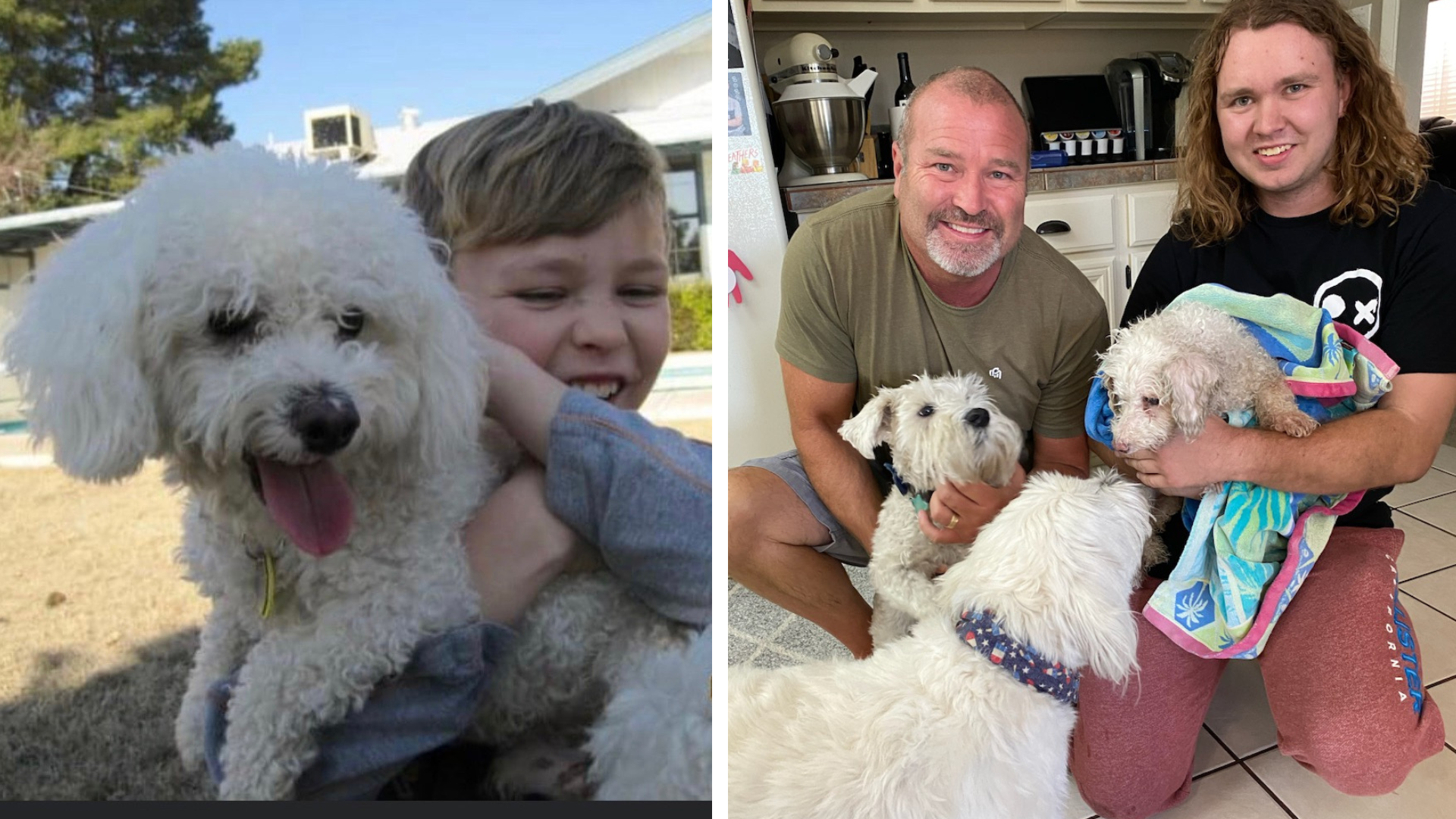 Treat of a lifetime: Missing dog since 2011 gets reunited with family