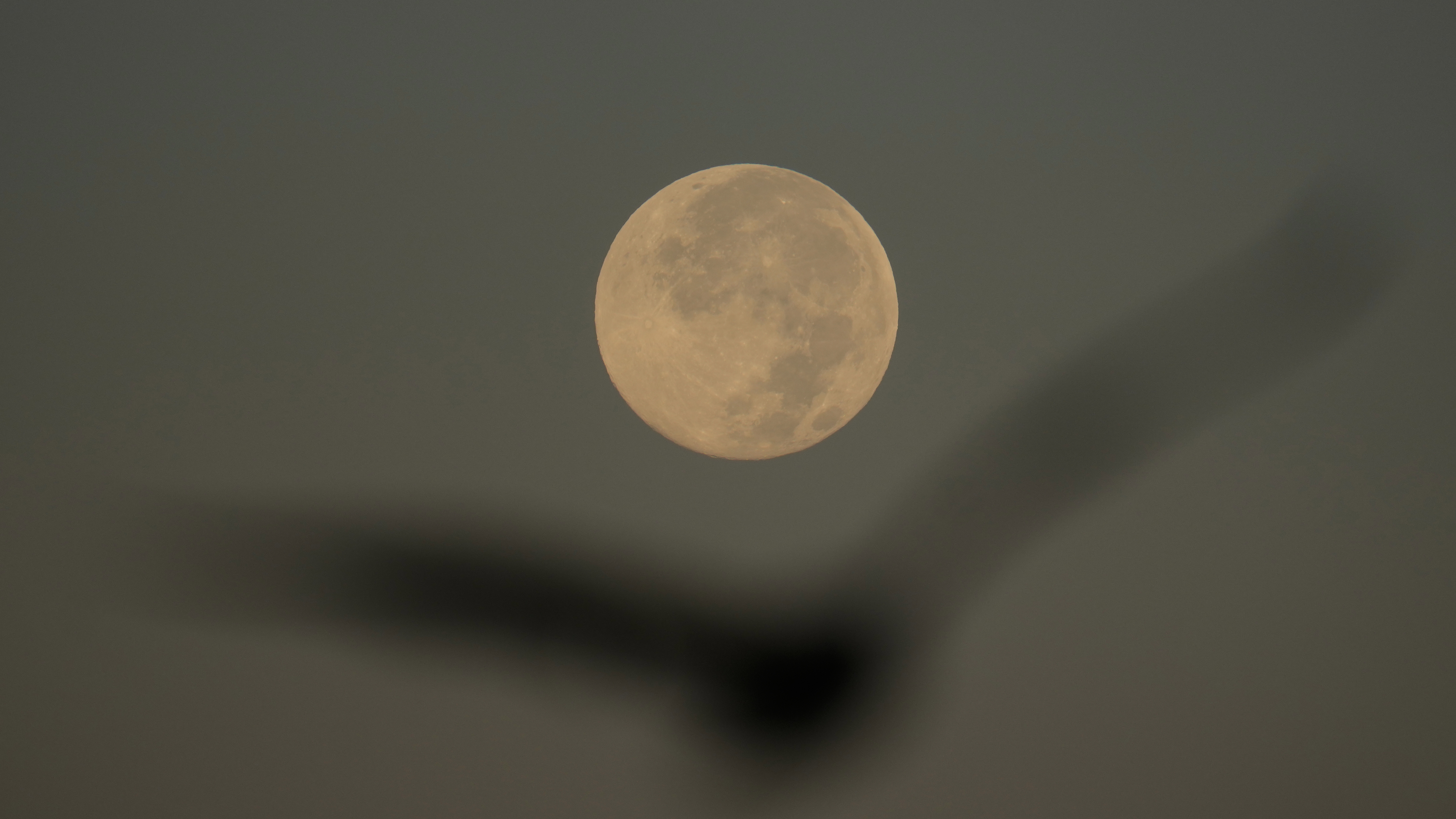 Wednesday's supermoon is the largest of the year