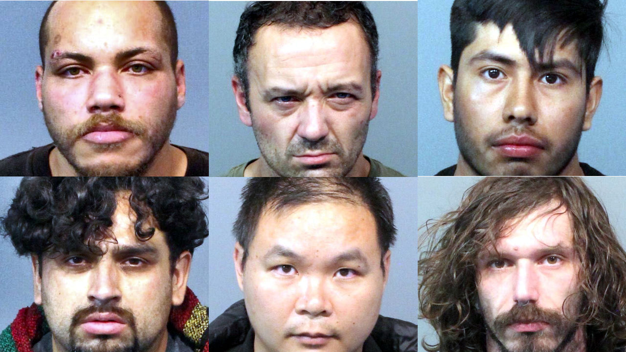 20 arrested in undercover human trafficking investigation in West