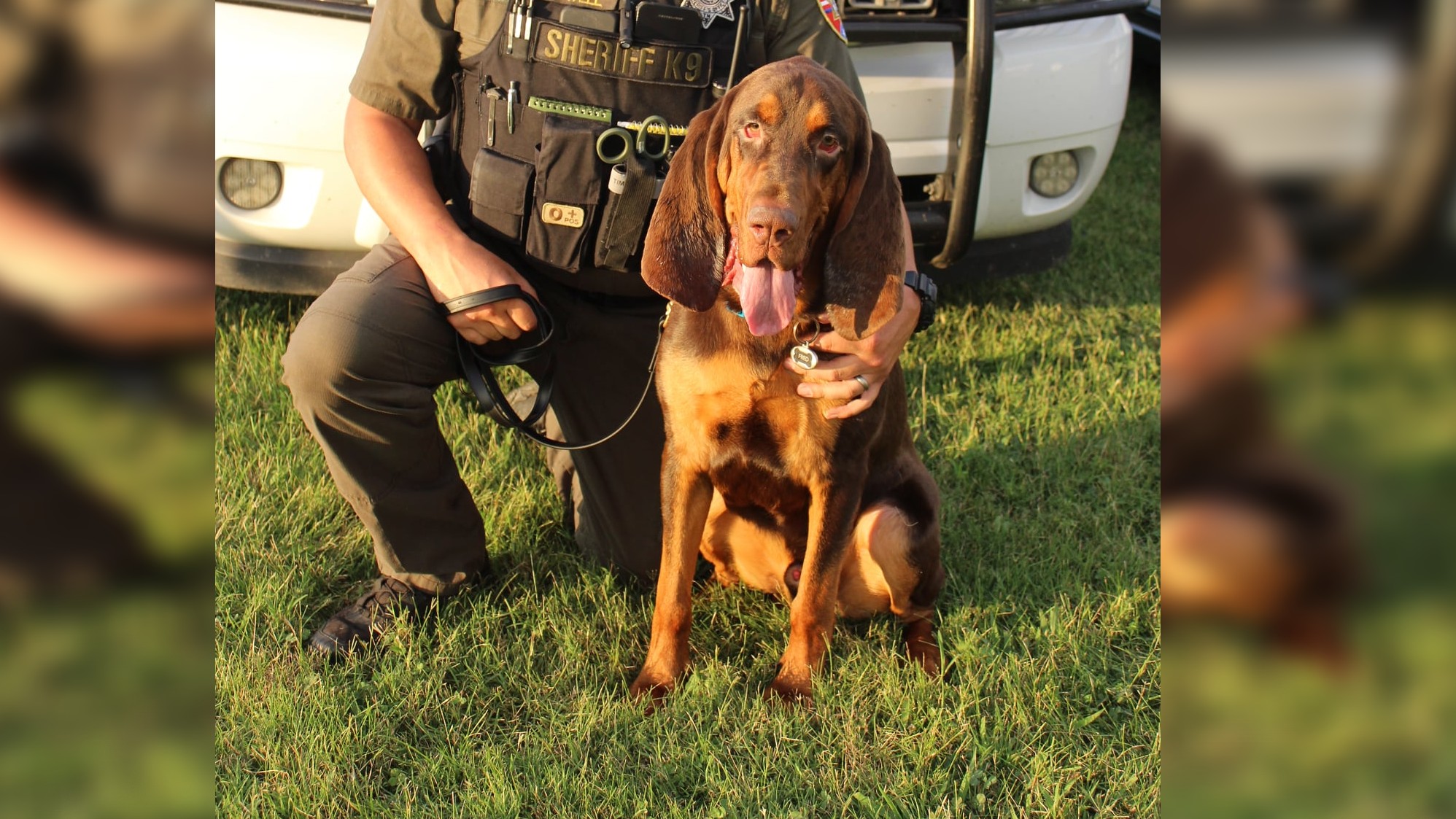 Nicholas Reeder's Instagram, Twitter & Facebook on IDCrawl