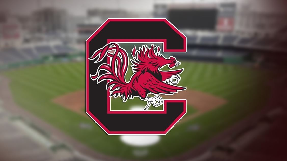 Baseball Announces Hiring of Matt Williams as Pitching Coach – University  of South Carolina Athletics