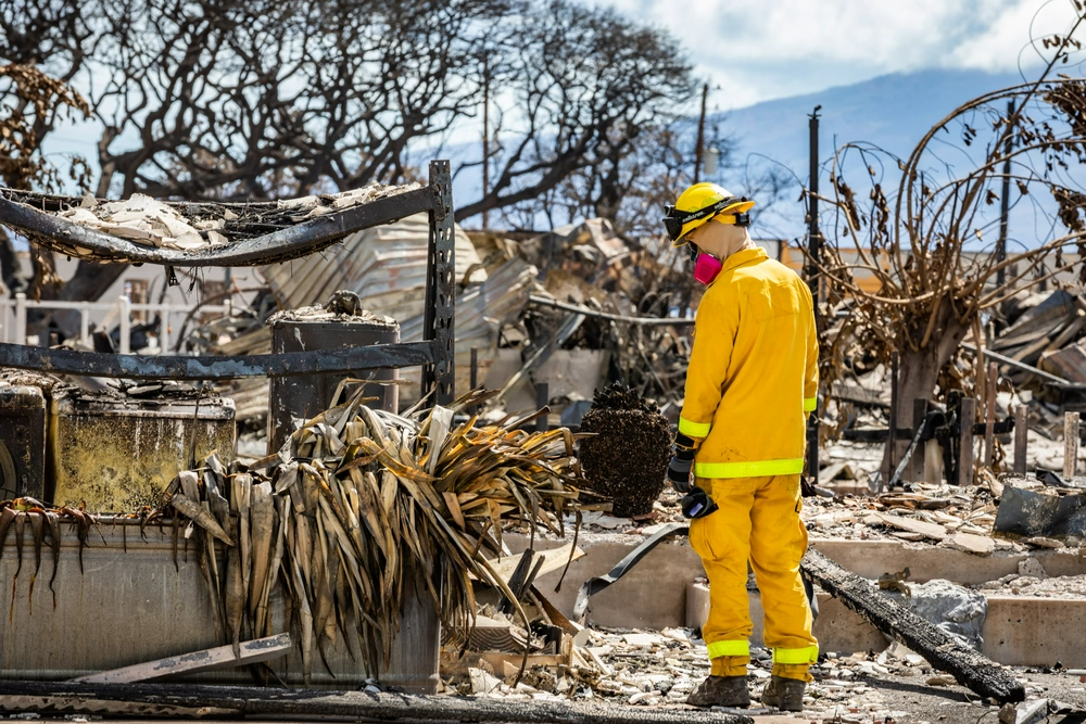 Wildfire Recovery in Paradise Holds Lessons for Lahaina - Bloomberg