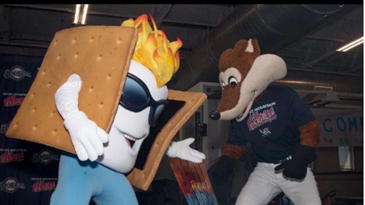 NOW HIRING: Talent needed to be Toasty and Sox the Fox for Rocky 
