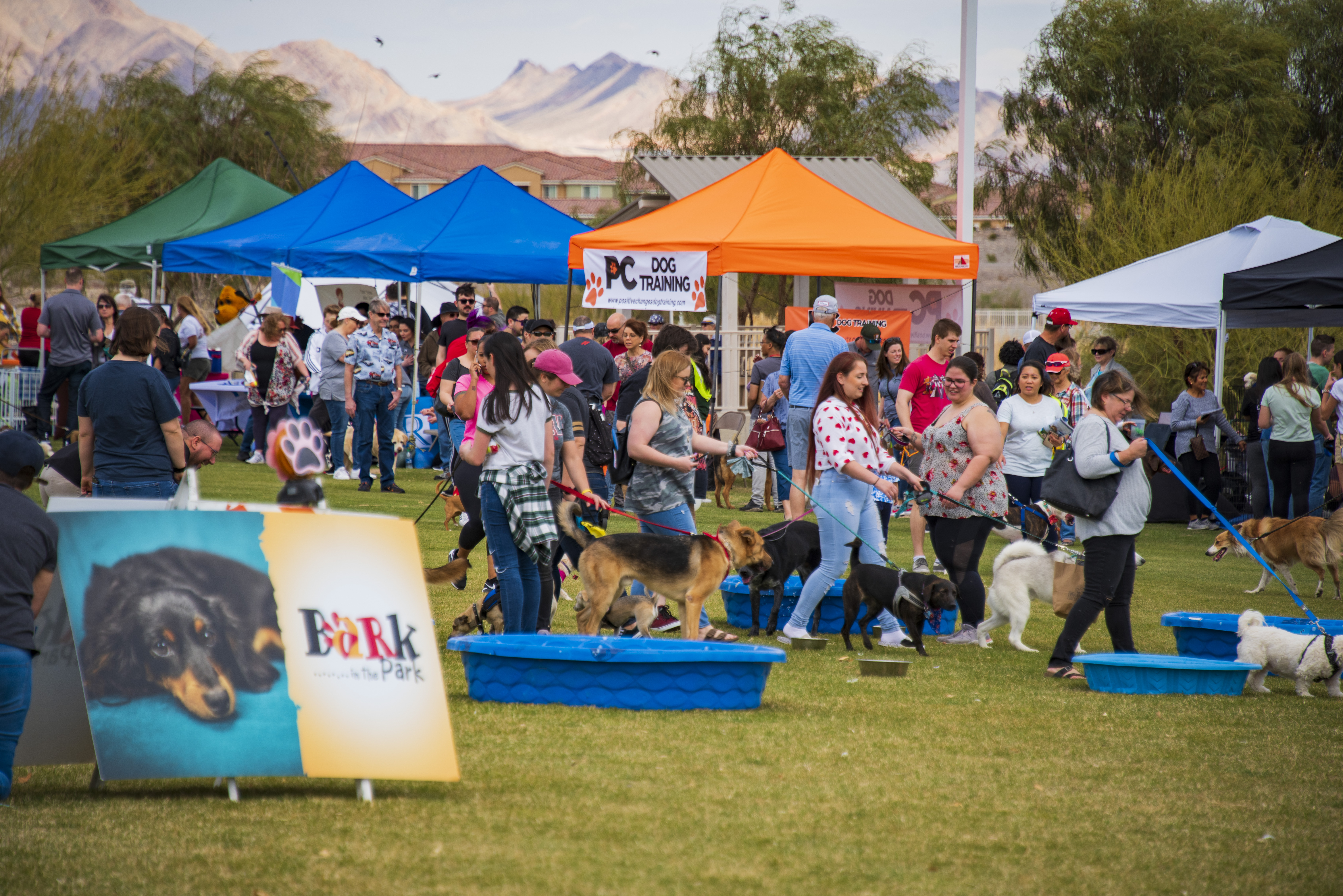 Bark in the Park Festival 2022