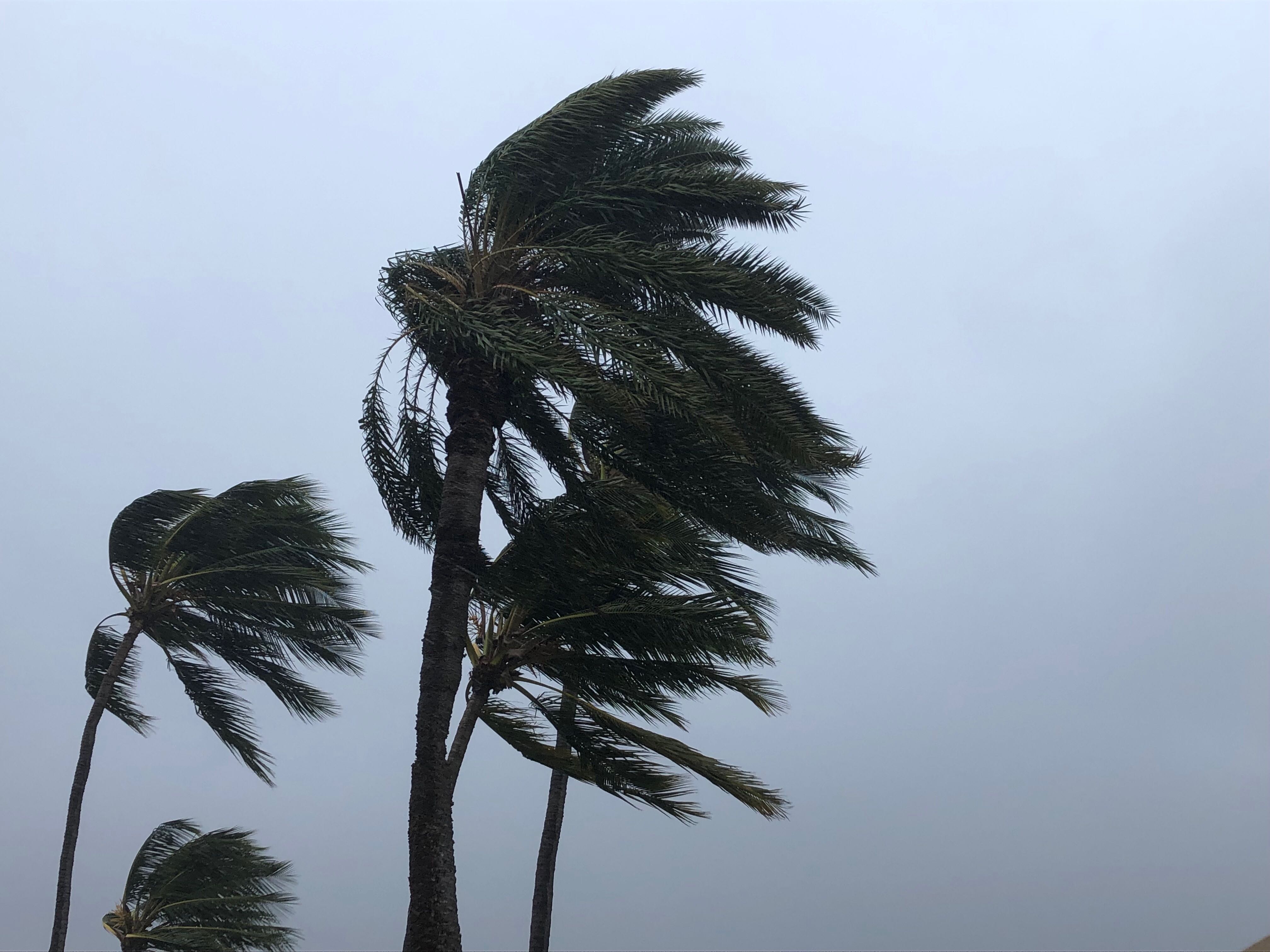 Windy condition is expected to enhance over the island