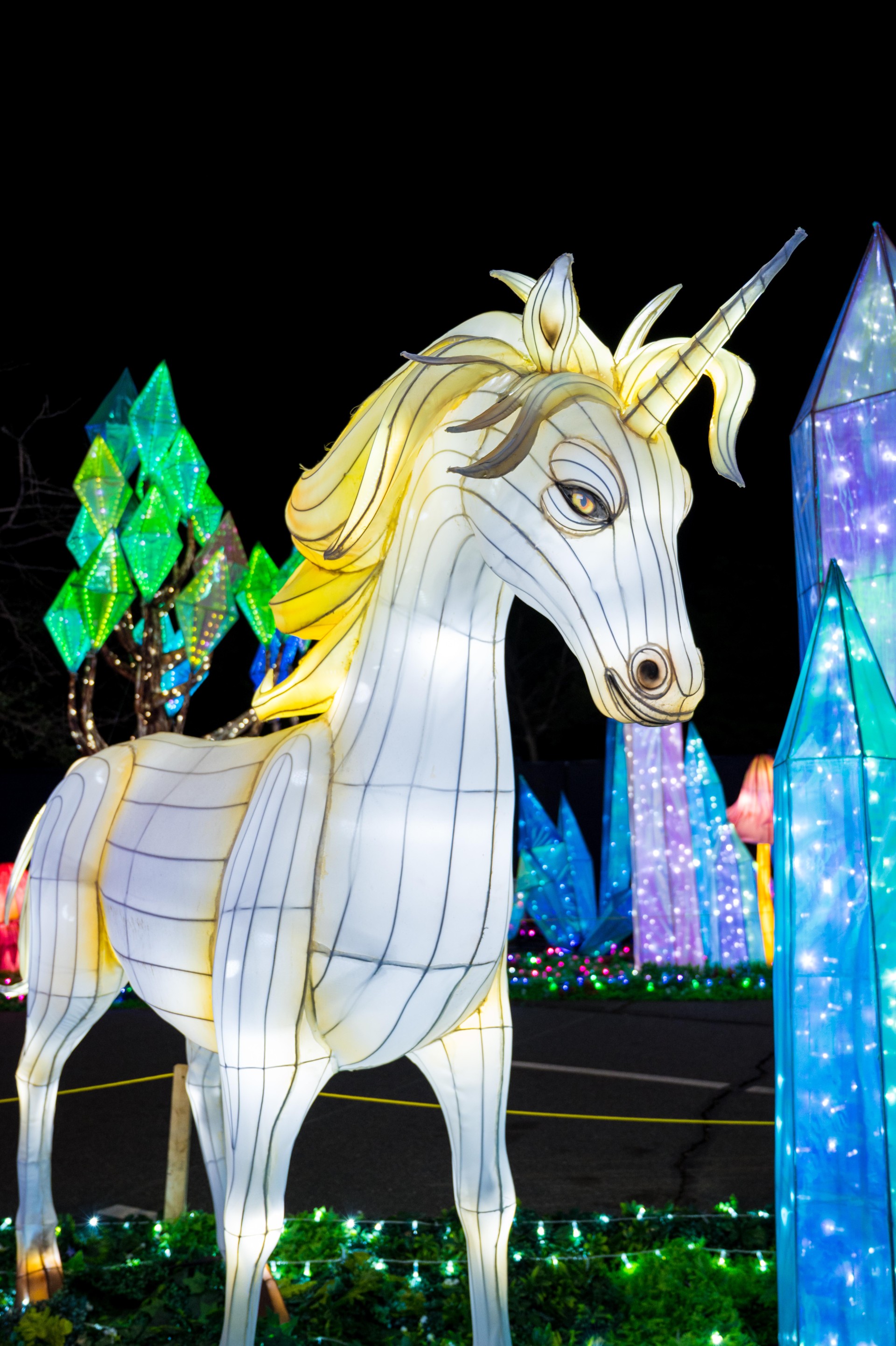 Unicorns are coming to the Louisville Zoo in 2027