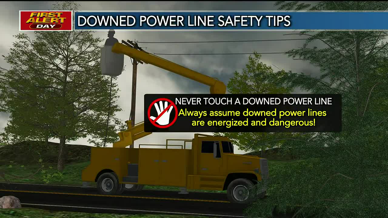 Power line safety tips