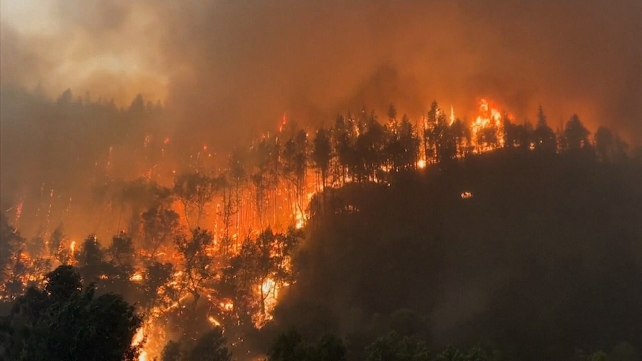Wildfire fact sheet
