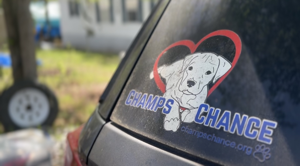 New location for Champs Chance dog rescue in Quincy remains
