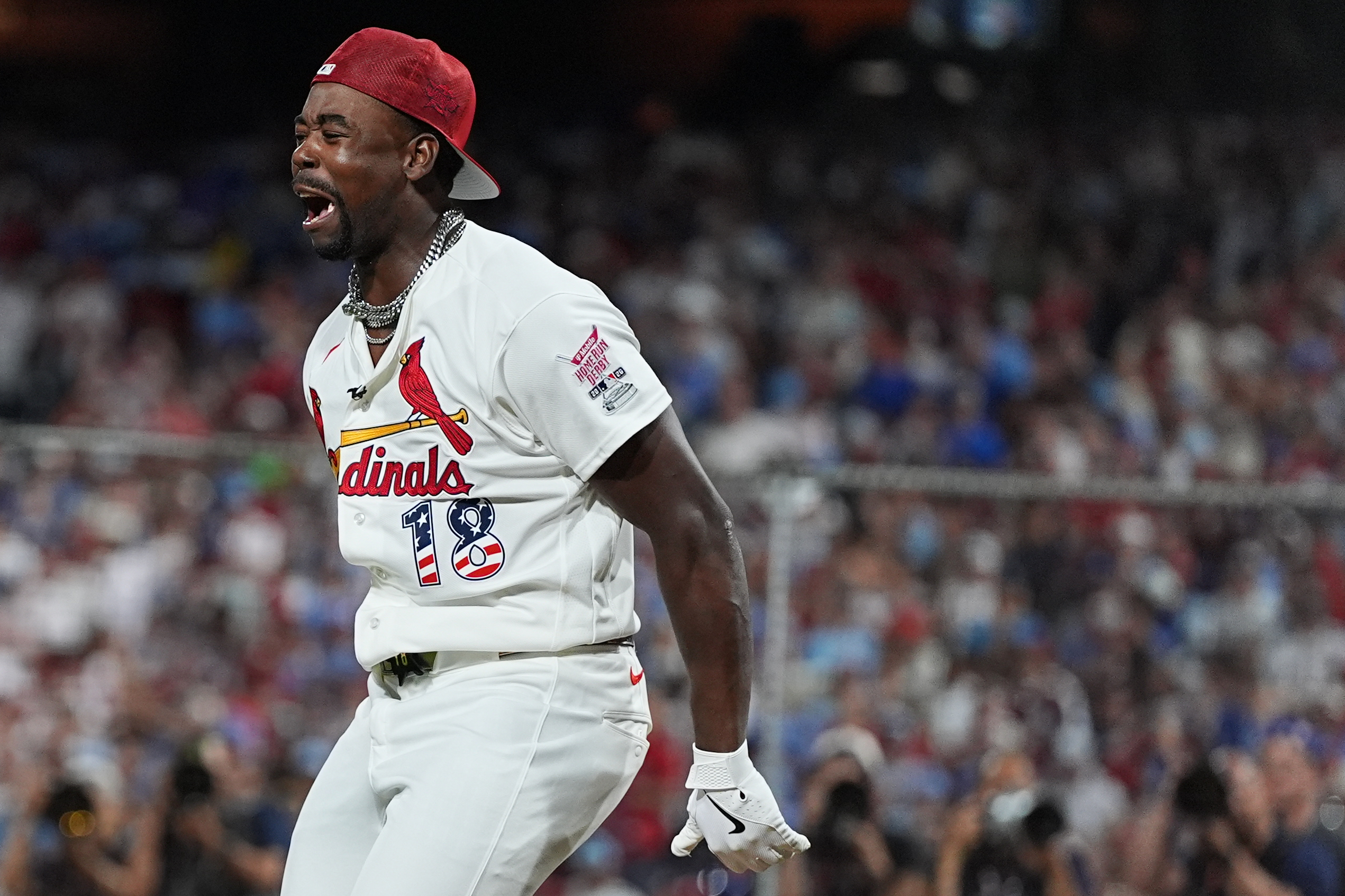 St. Louis Cardinals Fan Photos