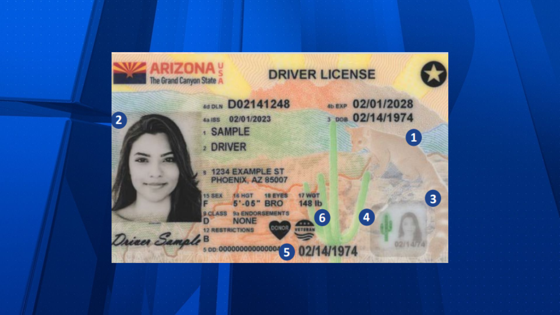 Heres why drivers licenses in Arizona are getting a new look pic photo image