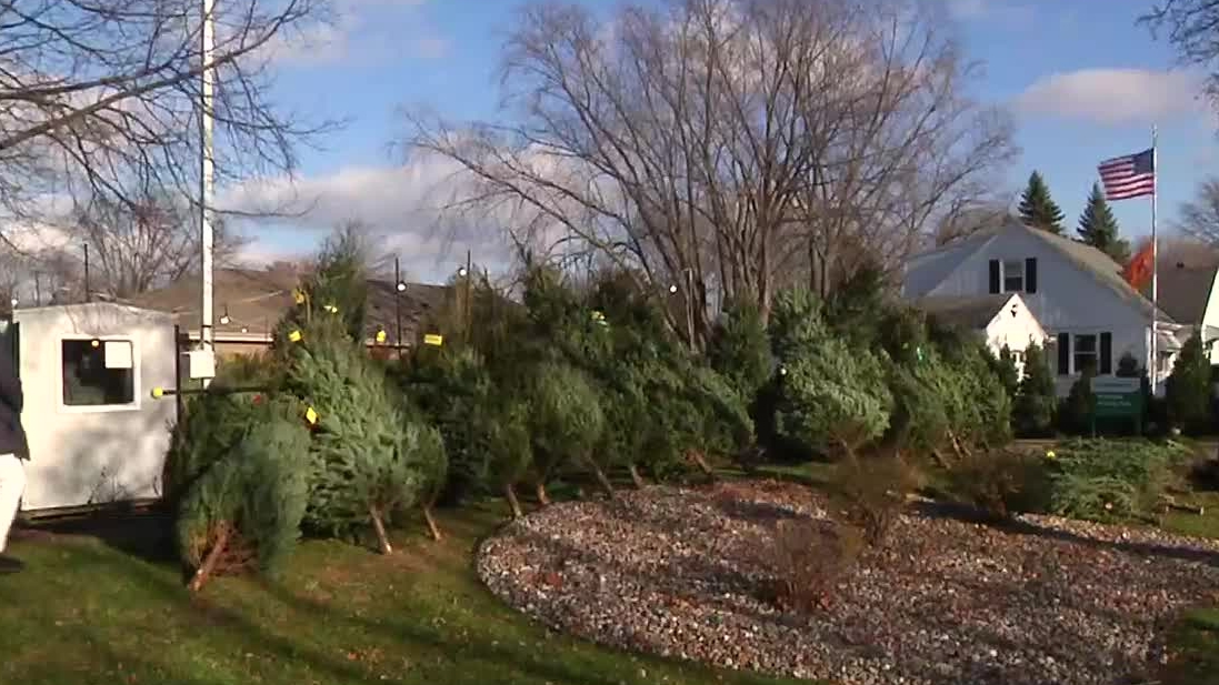 For six decades, the McCullerses have been selling Christmas trees in  Hillsborough