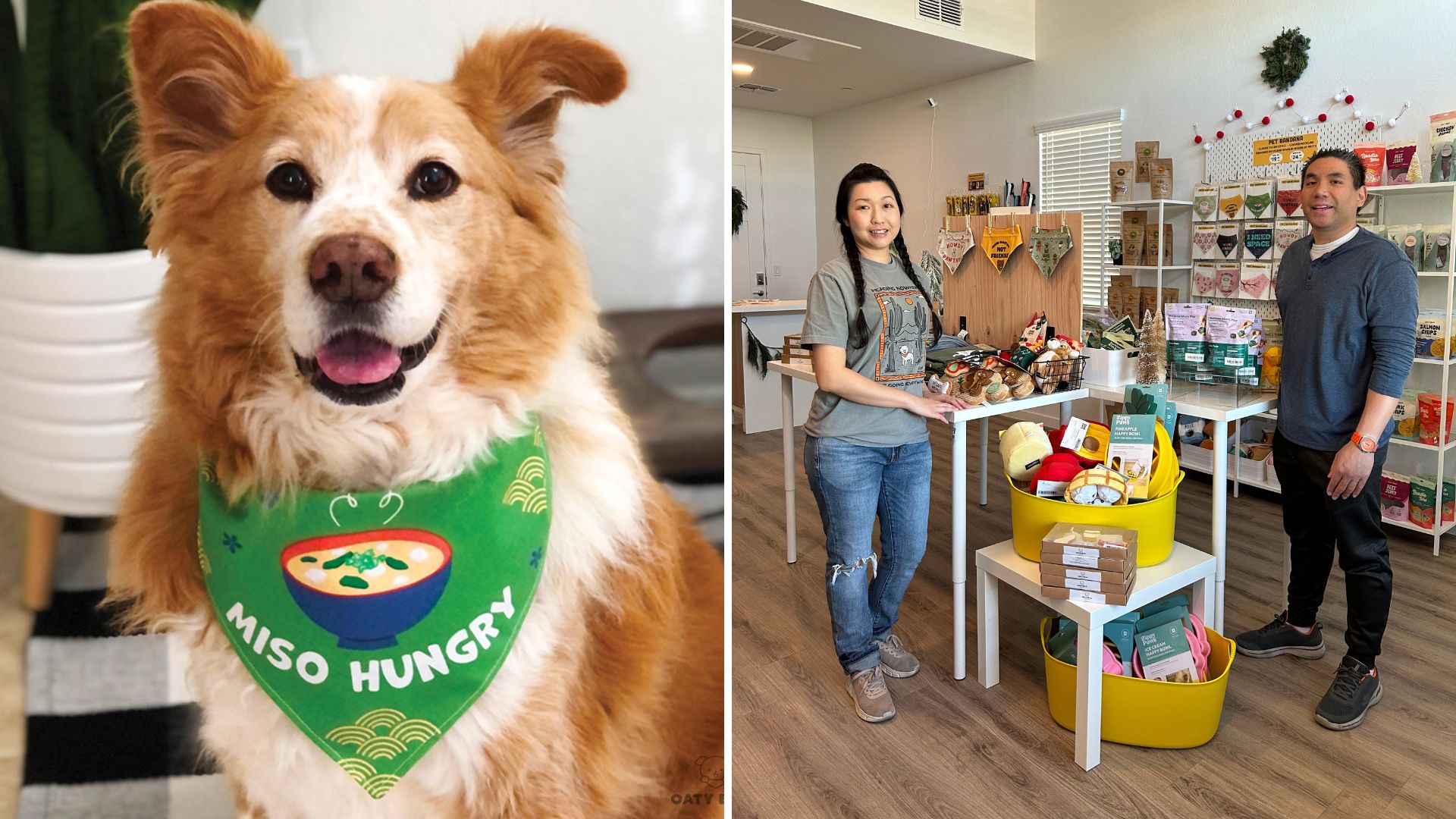 First AAPI-owned dog boutique opens in Tempe with Asian-inspired 