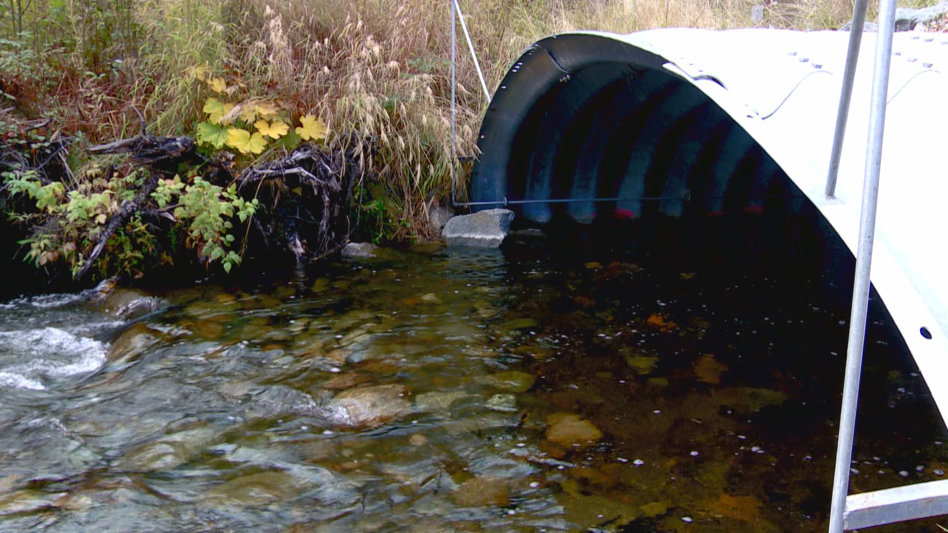 Mat-Su Borough looks to culverts to improve fish habitat