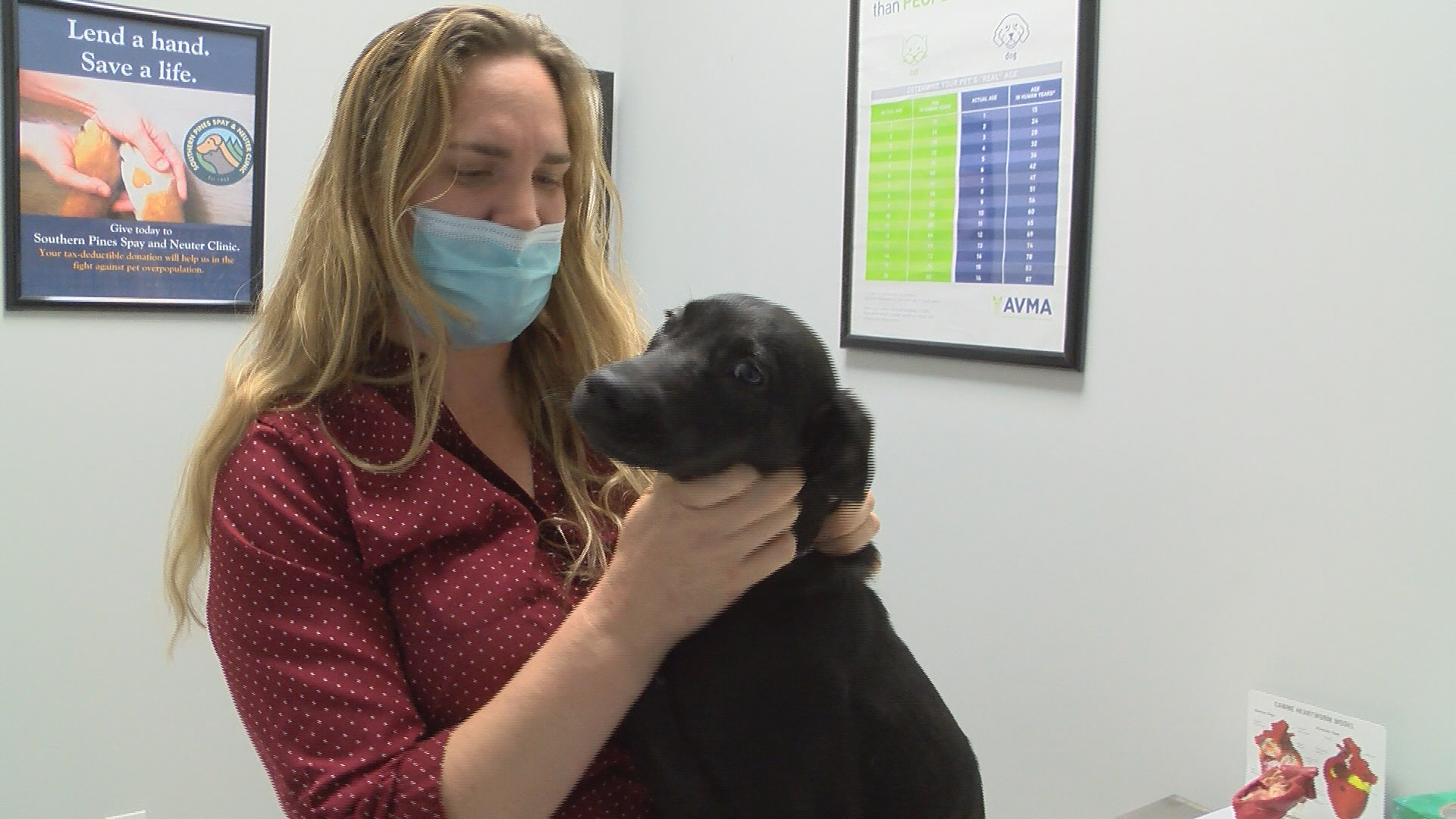 parvo medicine at petsmart