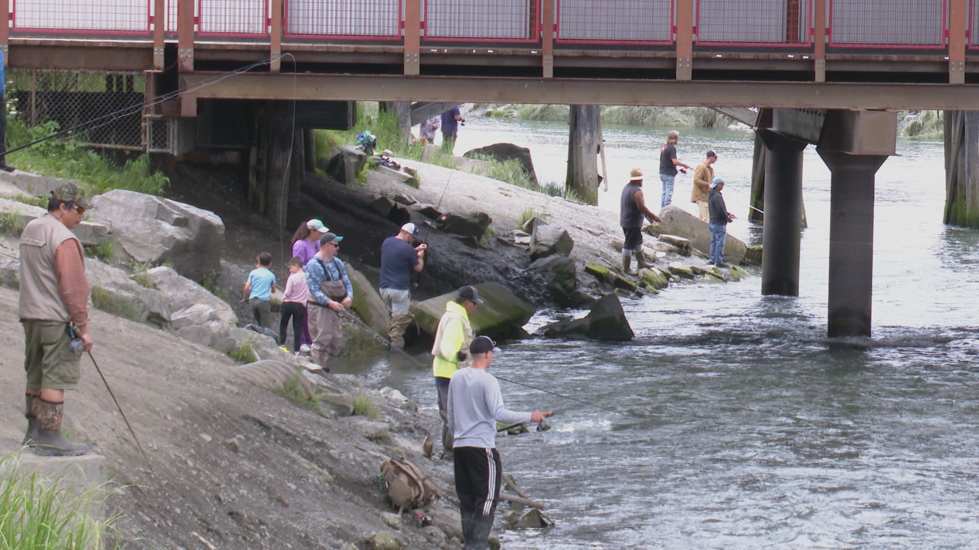 Salmon in Anchorage