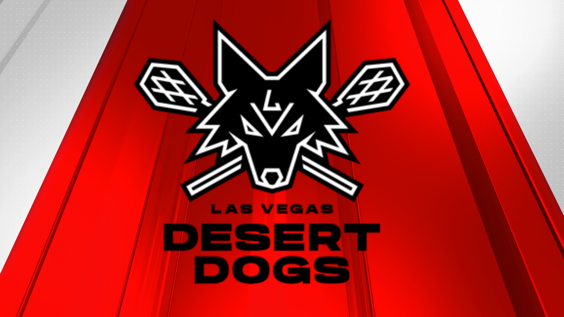 Another Pro Team Grows In Las Vegas: Indoor Lacrosse Desert Dogs