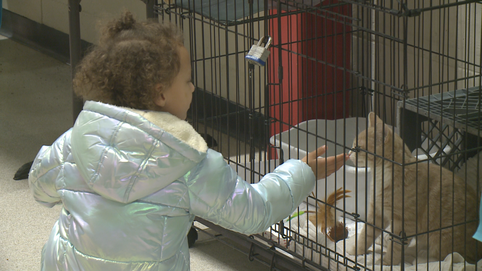 Municipal pantry provides pet food for families who can t afford it