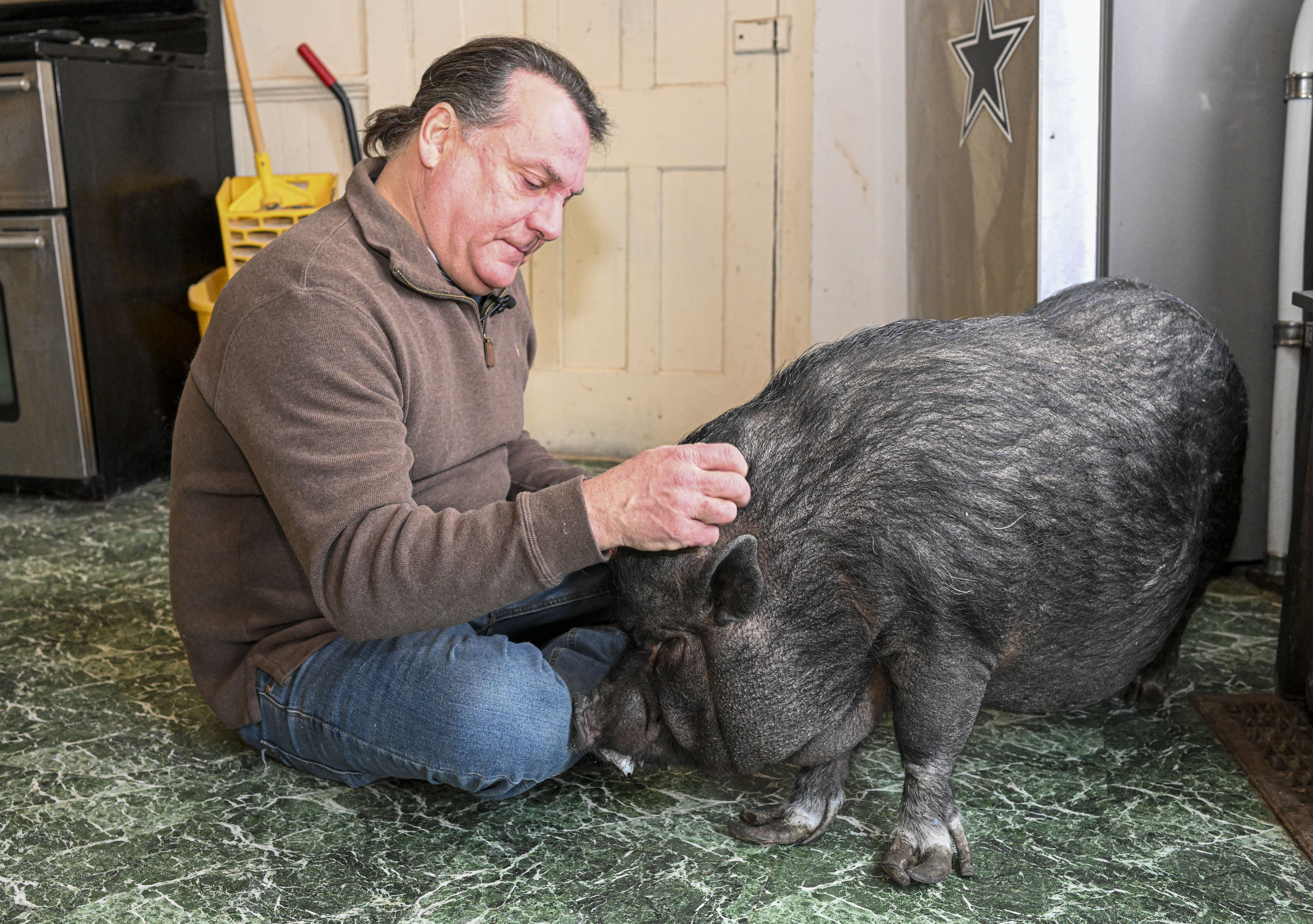 Emotional support or hogwash? Man fights to keep his pet pig