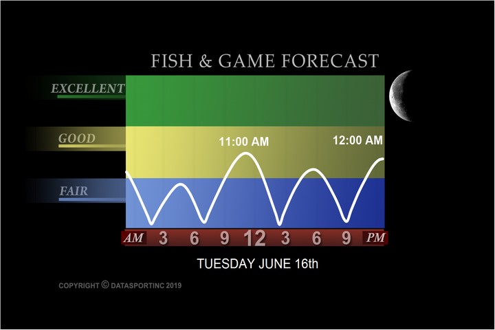 How to Use Moon Phases and Sun Position for Predicting Animal Activity