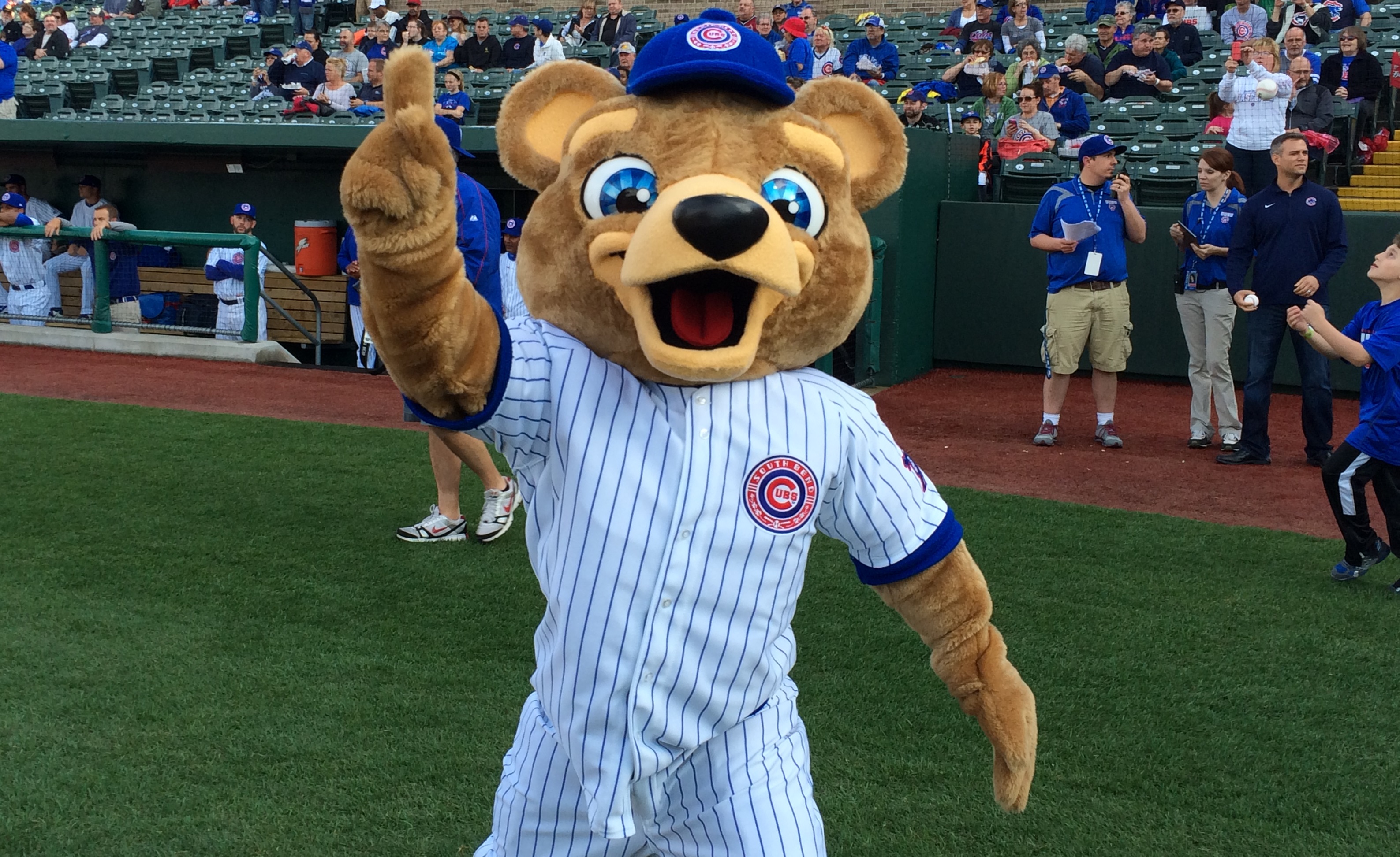 South Bend Cubs ask for help naming their new mascot