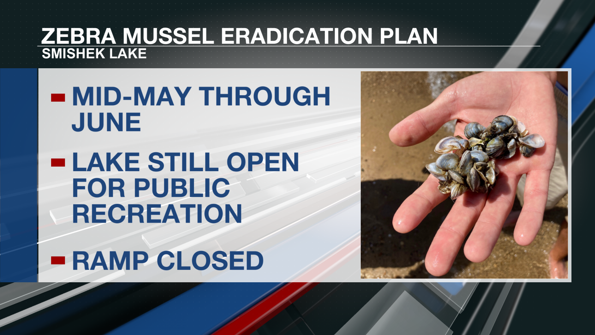 Zebra mussel eradication plan for Smishek Lake