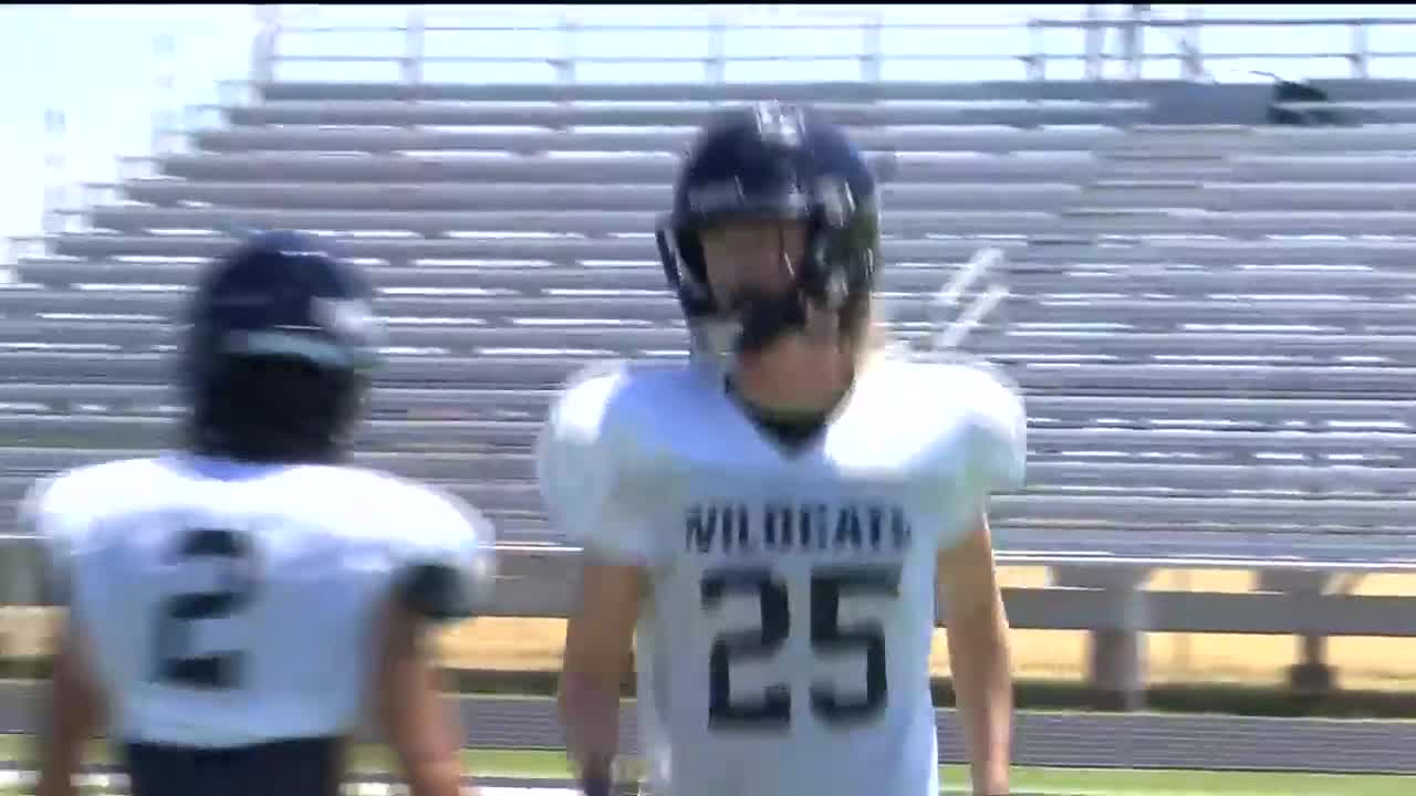 Archer City Wildcats at Seymour Panthers high school football score