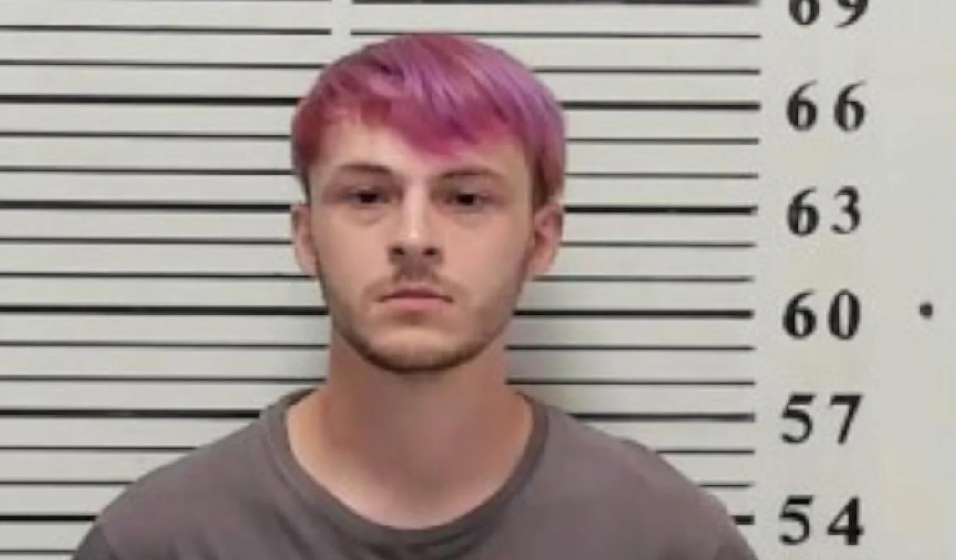 Mississippi man accused of fatally stabbing twin brother