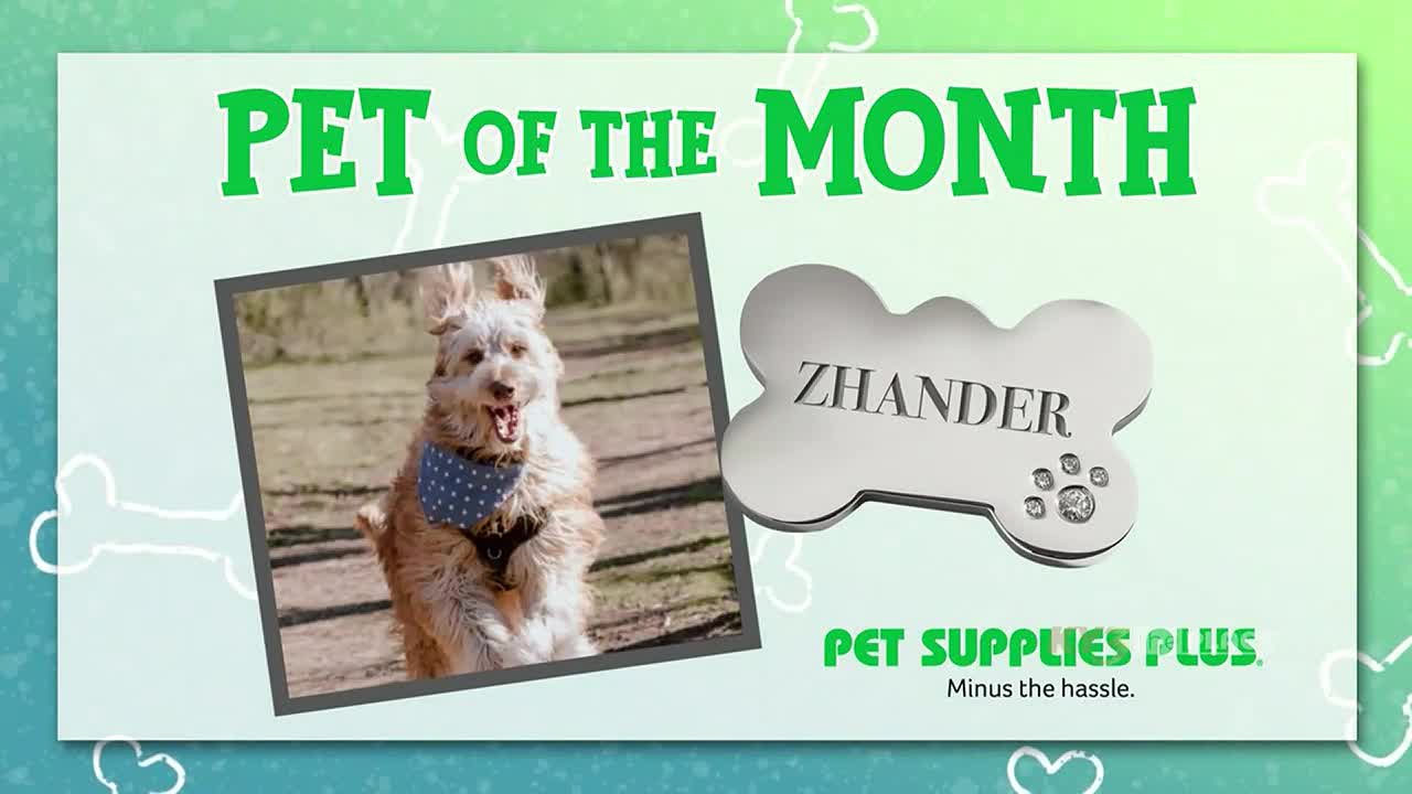 SPONSORED The Place Pet of the Month June