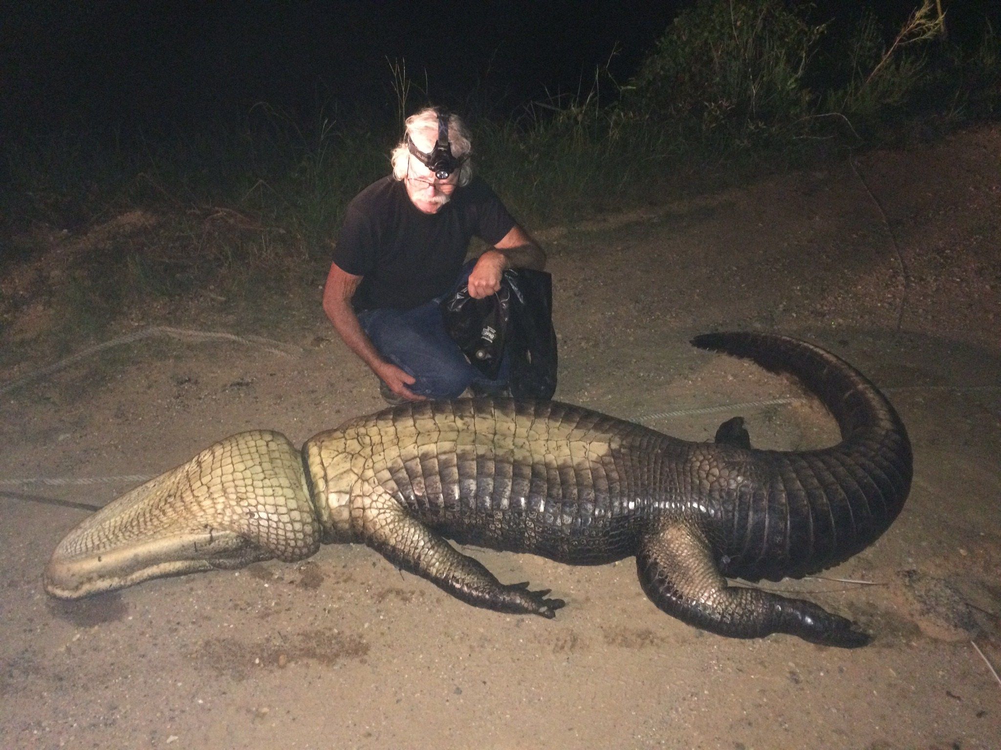 Champion Robertson Alligators スタジャン Jones County trappers catch 740-pound gator