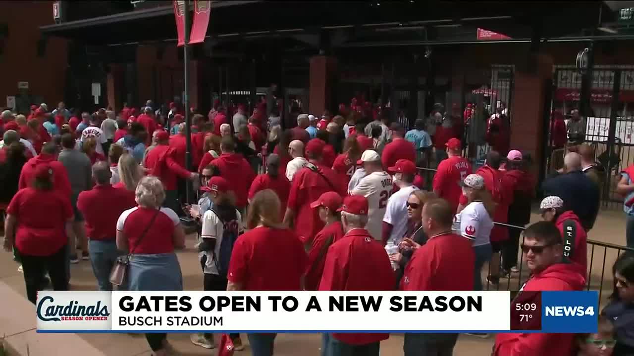 St. Louis Cardinals fans devastated as team's season ends with