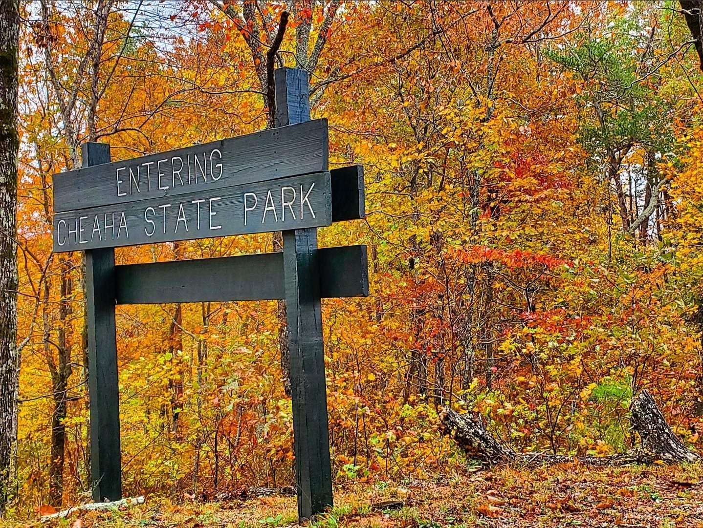 Fall Color on Display at Alabama's State Parks