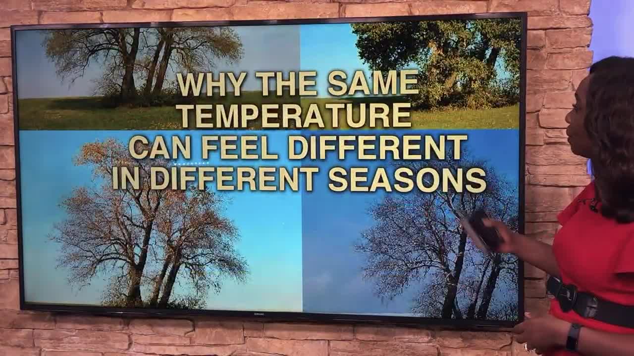Hot and cold: Why do you feel cold at the same temperature in winter?