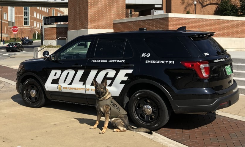 K9 Bruno joins Medford Police Department