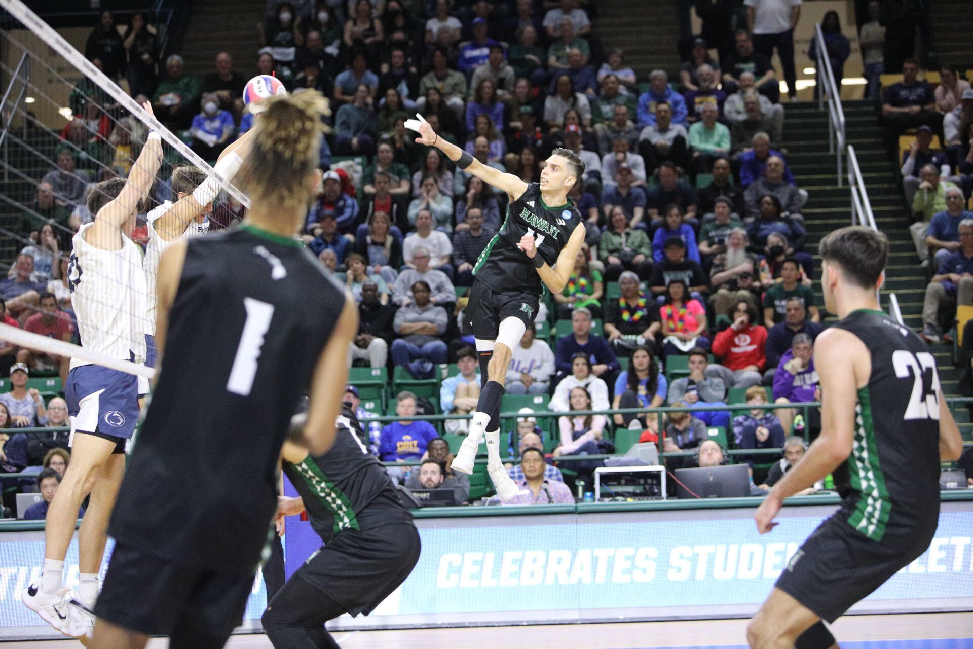 UCLA gets a four-set win over UH to claim 2023 Mens Volleyball National Championship
